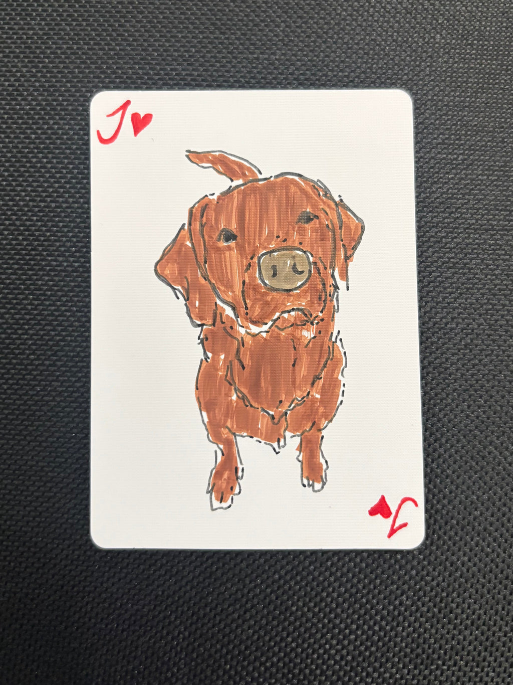 Custom Card Deck - Pets only