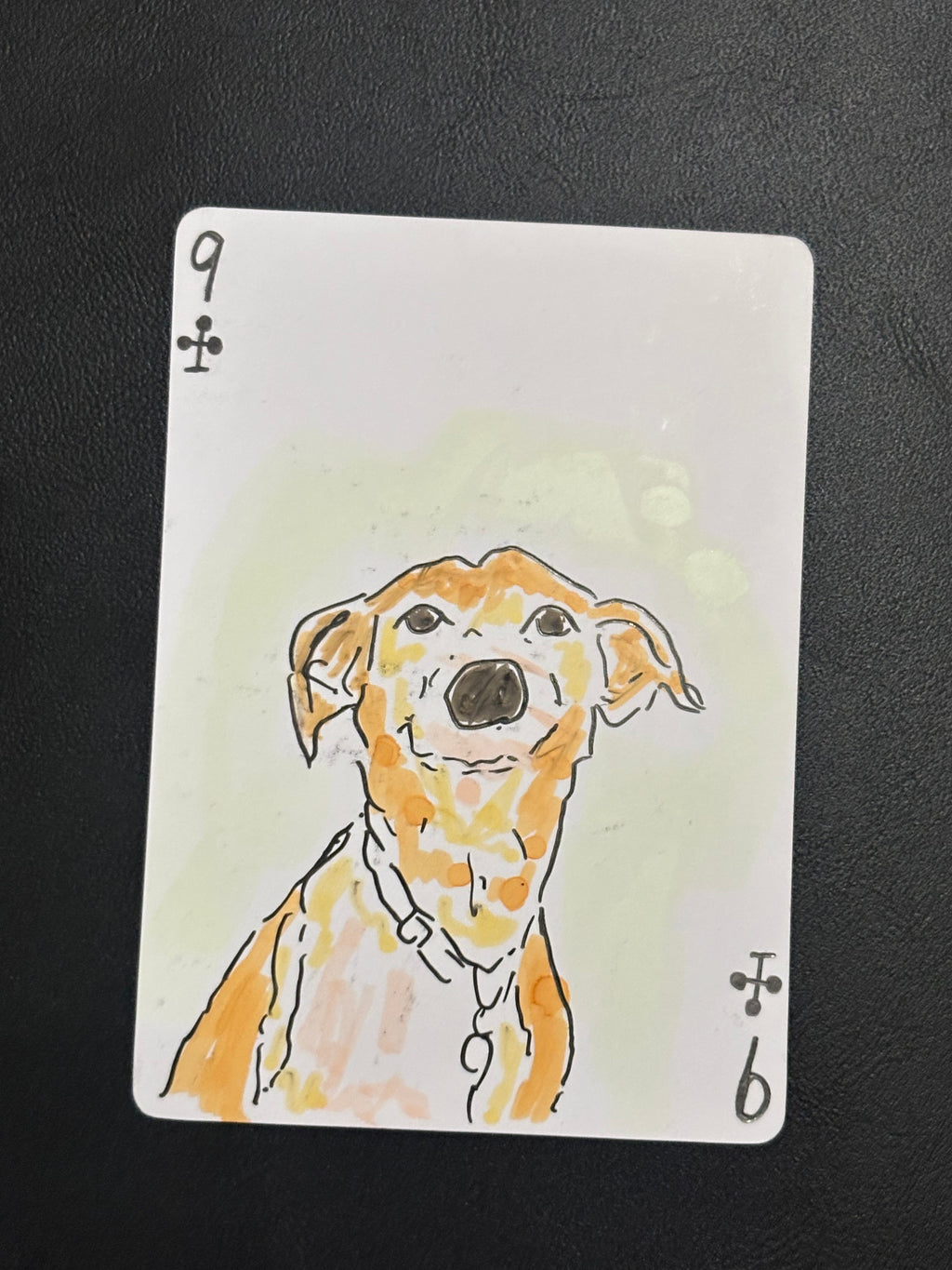 Custom Card Deck - Pets only